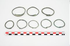 Foto von Bronzering (NHMW-PRAE-026627)